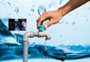 Vuelo de la Esfinge - El Agua, la Sequía, los Alimentos y el Estrés